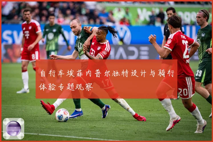 自行车埃菲内普尔独特设计与骑行体验专题观察